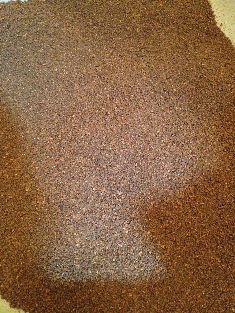 Walnut Based Cat Litter PrixiePets